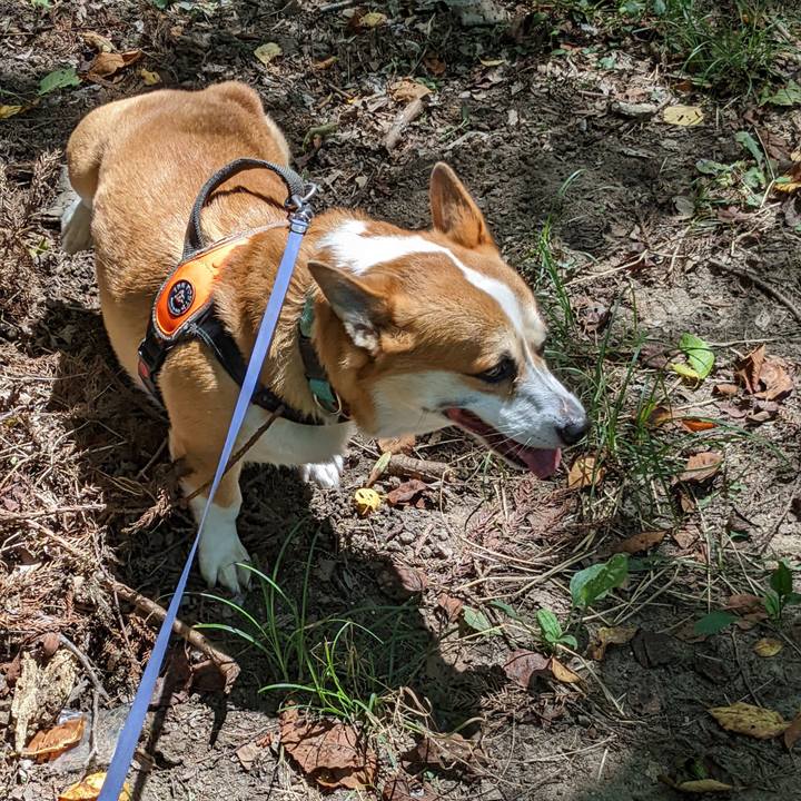 Bbe08f66 134e 462f ab62 172d327ce952 1691719886590