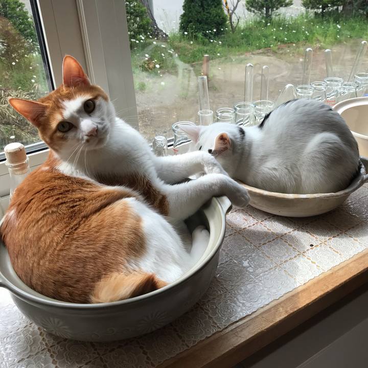 Bbe09f49 76c7 4fc9 a541 03bfd774fa63 1559948502875