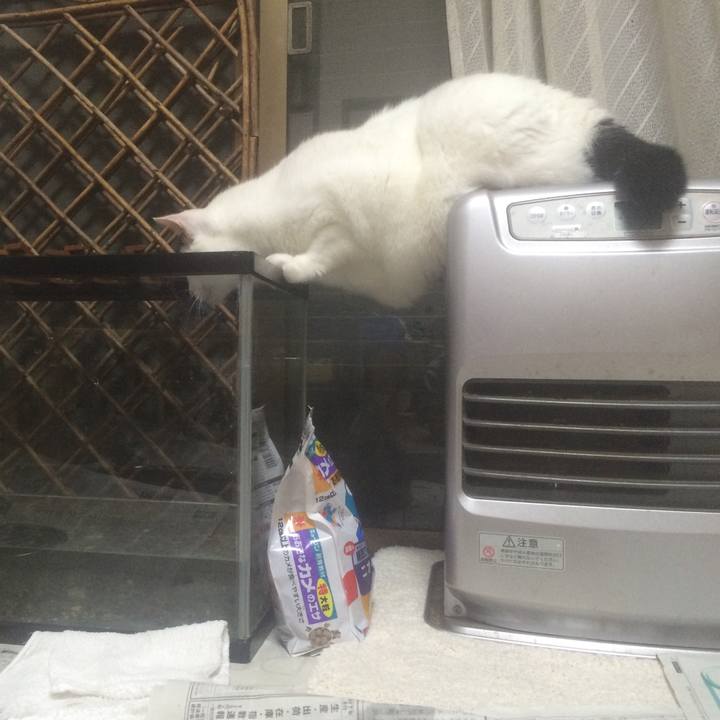 Bbe0b6e1 fc7e 4dd1 a4ee dd1285d378ee 1562242634942