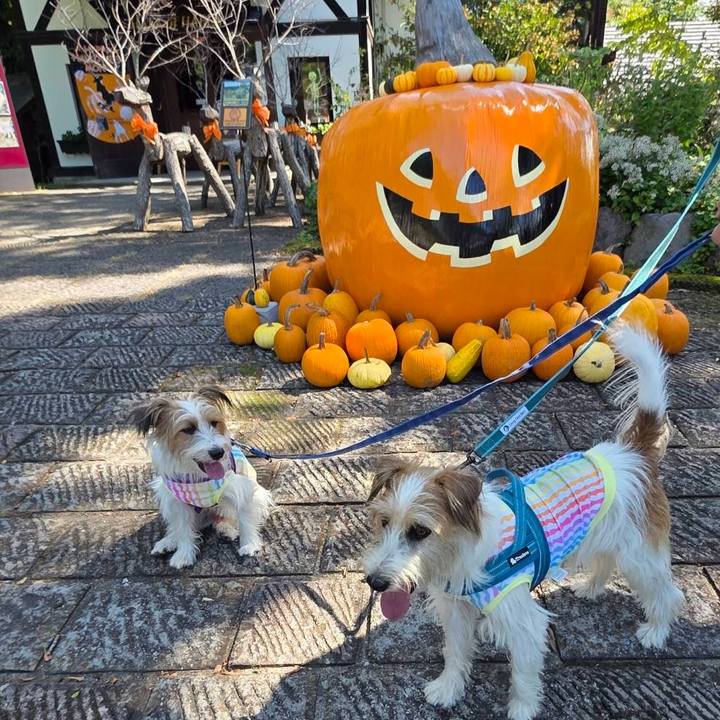 Bbe0bbb5 c65b 48d6 96cb dfb4e8fd9ebc 1761909584586