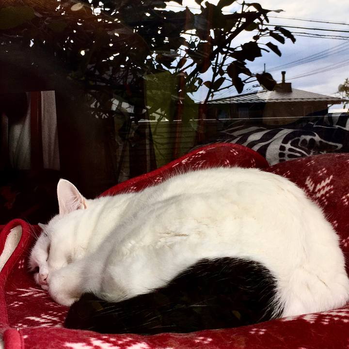 Bbe0c005 b342 4a65 8929 d4f09ddd5d35 1573442996503