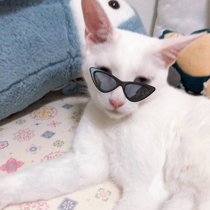 Bbe0dd75 9fdf 460d 8179 b211d367e0ca 1561898516351