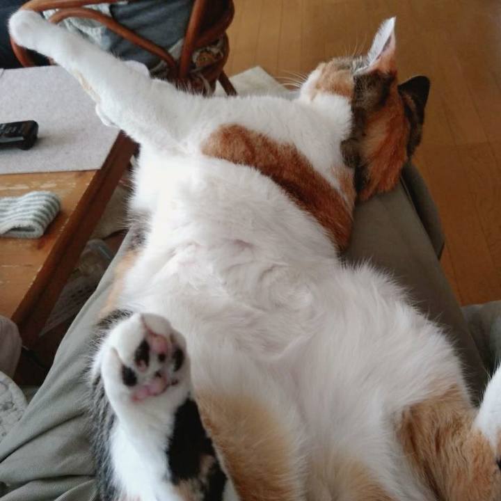 Bbe0ebf1 f71b 4d2f bade dfdc46d154a2 1584965435759