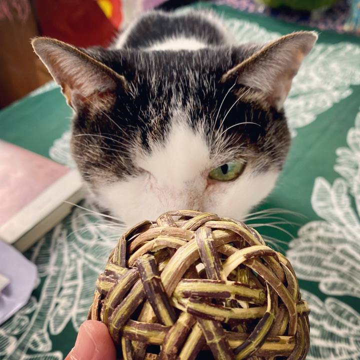 Bbe0efc3 a875 4897 9366 bfe09113d75e 1640405012375