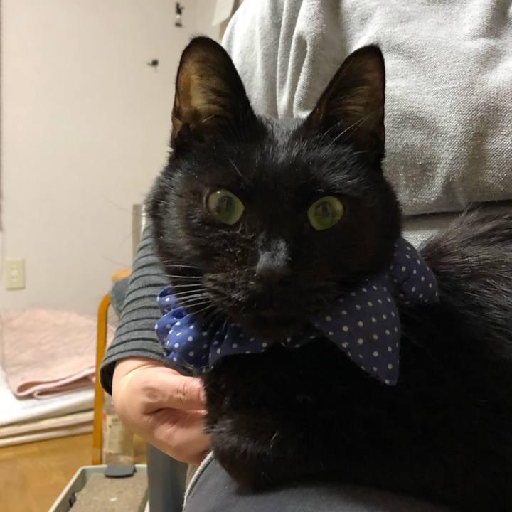 Bbe12e25 4518 4f4c 83ac 7c0161c428e7 1555929731228