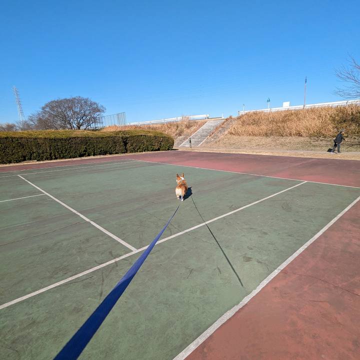 Bbe14705 f430 4bd0 a480 3805fd22bb80 1705820211722