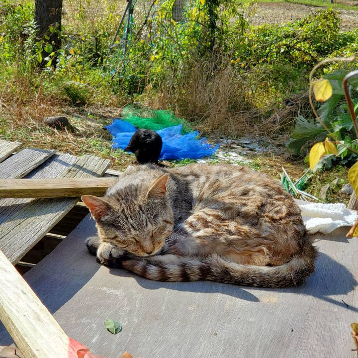 Bbe17078 ef2f 4ba0 b96c d752e117927e 1696950195564