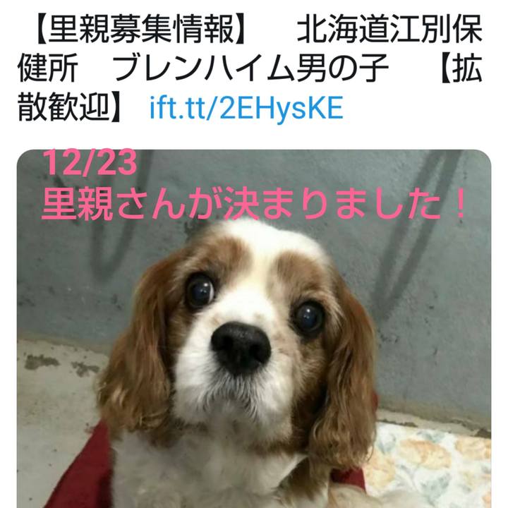 Bbe1709f 4256 434d a23a 39decc88b761 1577104175908