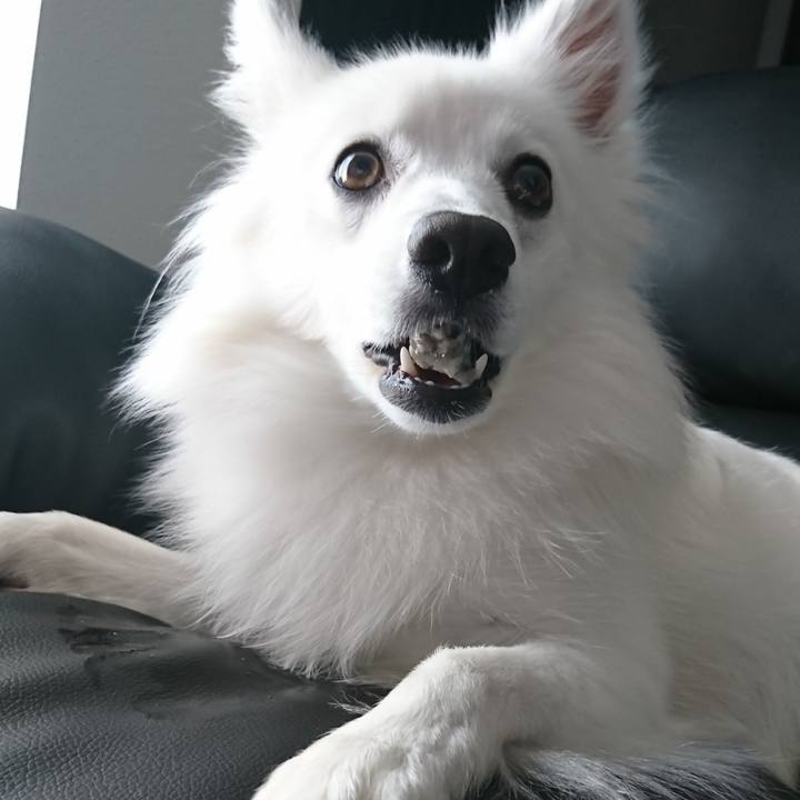 Bbe17309 edc9 40bd 970e 8f2d288e780e 1524023768762