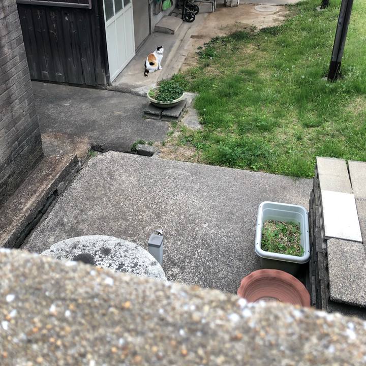 Bbe1a59d 6269 48f5 81ed c2d08203ffd1 1619130551929