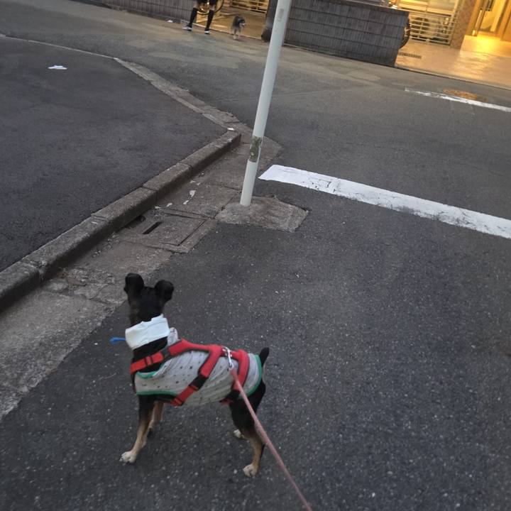 Bbe1b60d 93ef 45f7 b2df 9e8f90897513 1756931847696