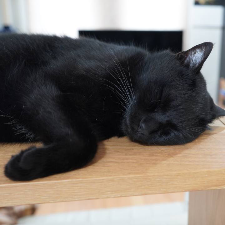 Bbe1dcf9 bd3b 4f30 872d 1f92f8dd3d66 1591867648817