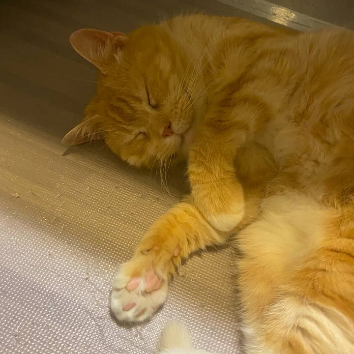 Bbe1e889 91dc 4813 acbf 1125f4a6246f 1623094268685