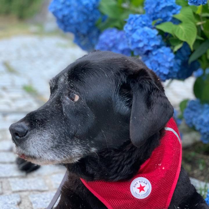 Bbe25d08 96a1 4fd8 b4e9 d43088eb00ec 1654510313939