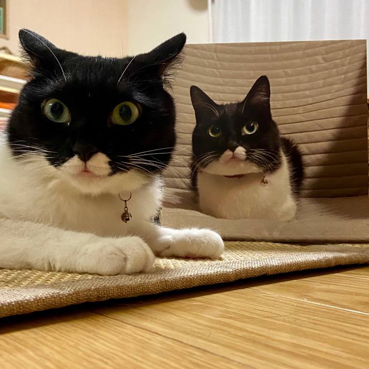 Bbe25e0b b3f0 429f 8382 a3acf1f025c7 1592063213826