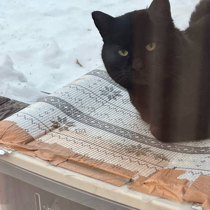 Bbe27a25 1e24 42bf 9744 3b79fd06c510 1773954886015