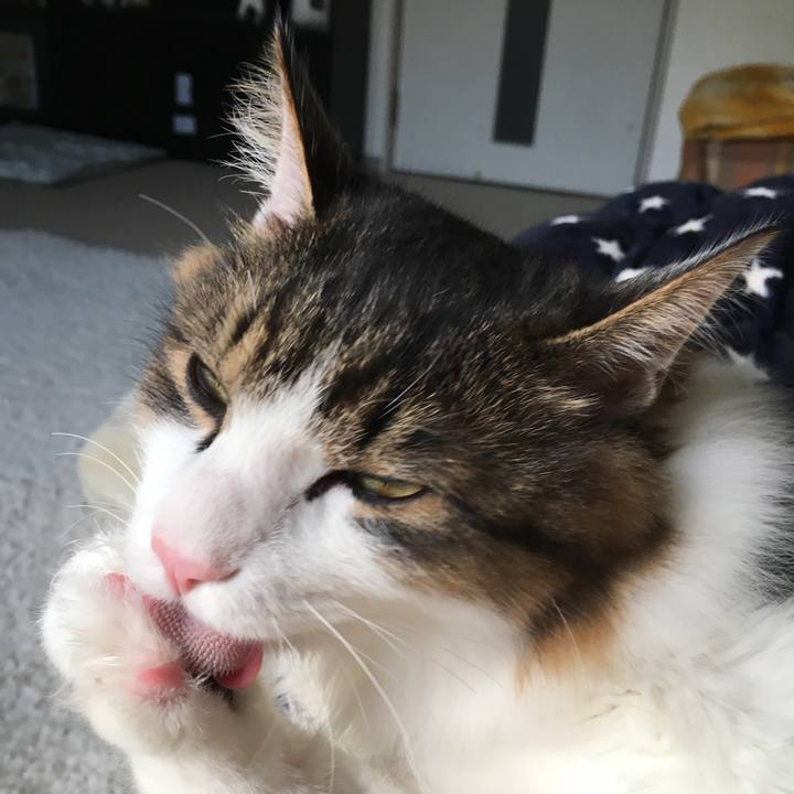 Bbe284e9 2b4c 4403 b49b 45cc2373750c 1512816663324