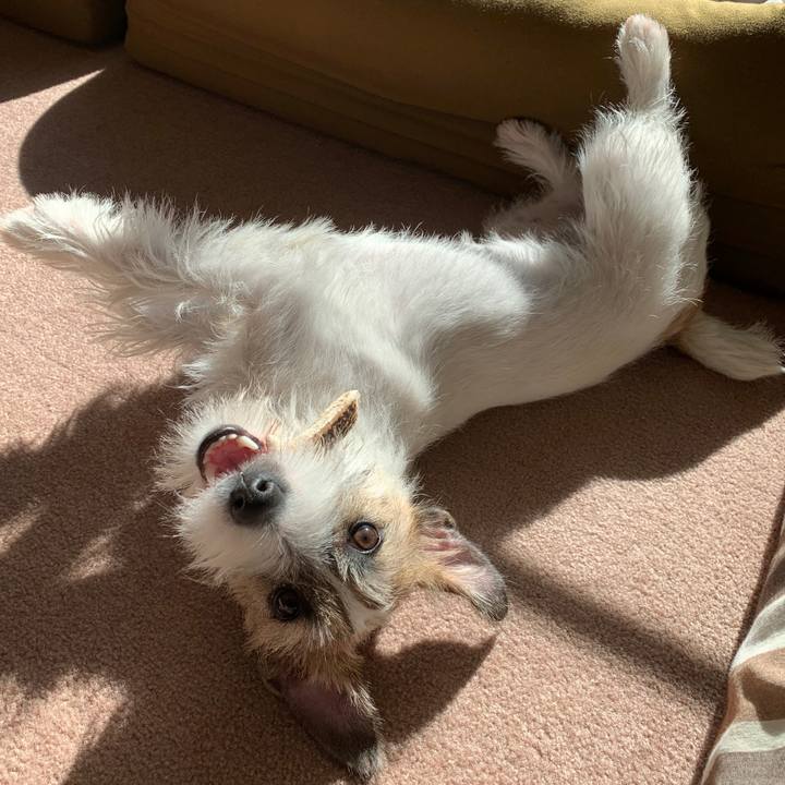 Bbe29777 2461 4b89 9206 c89027b1a8a9 1574219826617