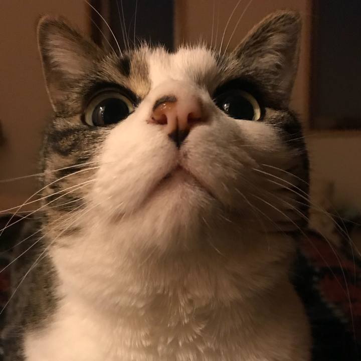 Bbe2e20b 810d 42b9 ae71 b7d100330b4e 1555941146328