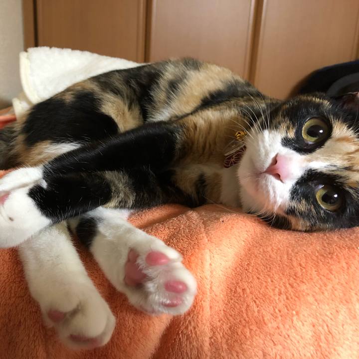 Bbe30b8b f20c 4569 8139 7672f5405bc5 1554041591494