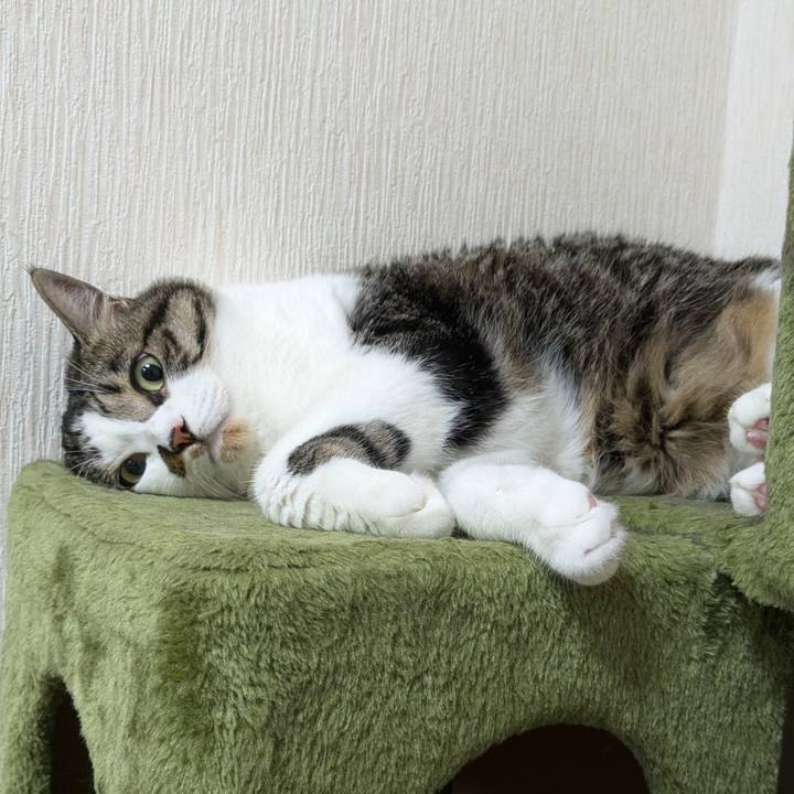 Bbe32212 1c35 4497 ae2f 954159d0c607 1719452476410