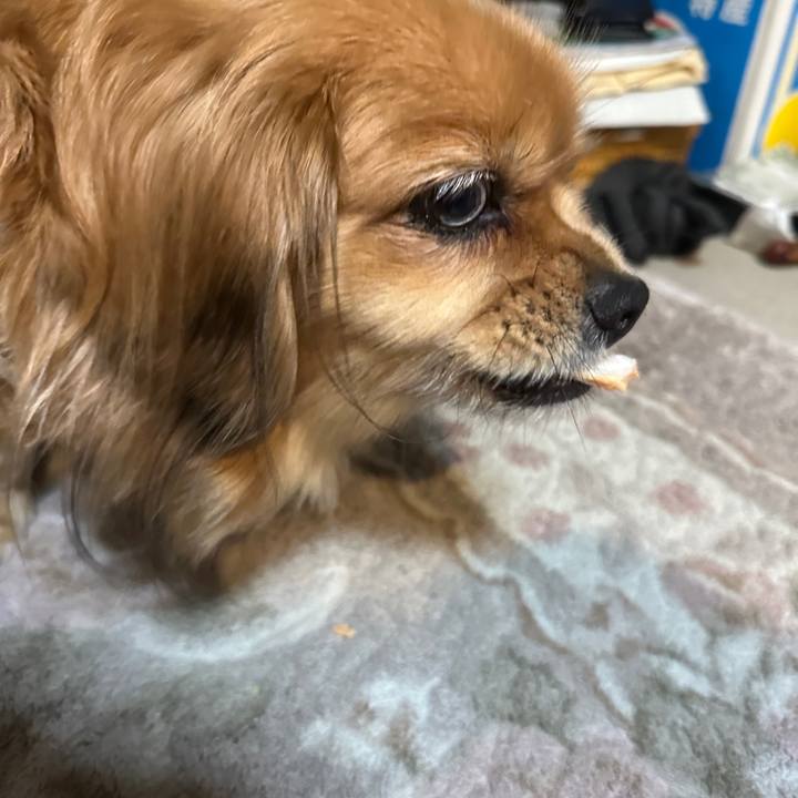 Bbe35c39 8535 4a8f 8db9 4d08025287e2 1702848247201