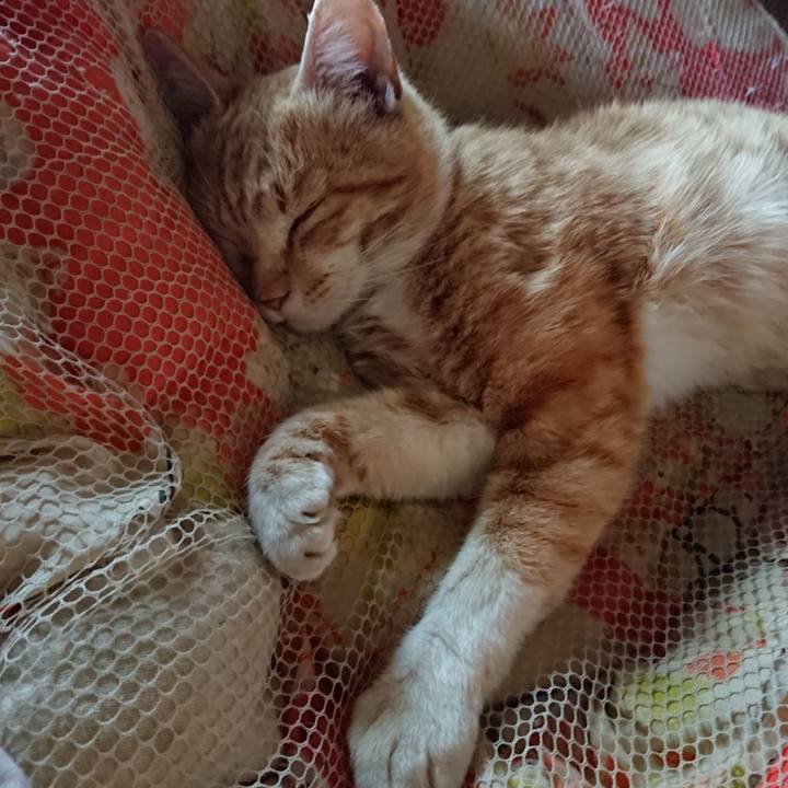 Bbe36563 6e16 4799 95b2 9df1d640b0fd 1557633964543