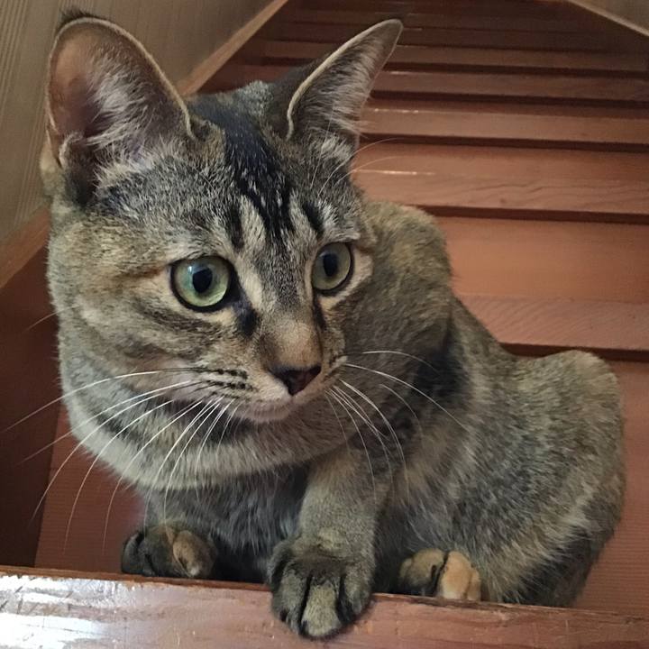 Bbe382da 90f9 46c3 8e83 48dc8333c06b 1584687862954