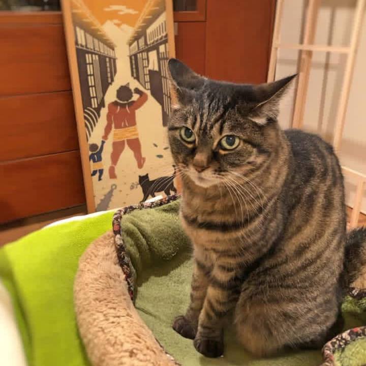 Bbe384a1 b9c8 4ba4 8f80 6a1493f74f60 1769869522958