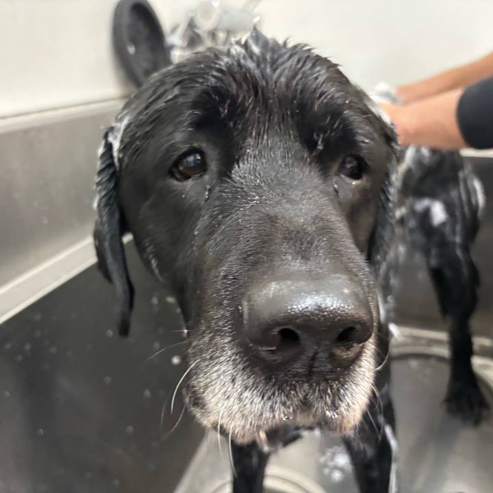 Bbe3aaf1 b645 4454 8da9 1713674eb019 1767013352394