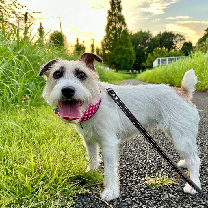 Bbe3b5ef 3a5f 49f3 8bde 4e54745fa36f 1753595817691