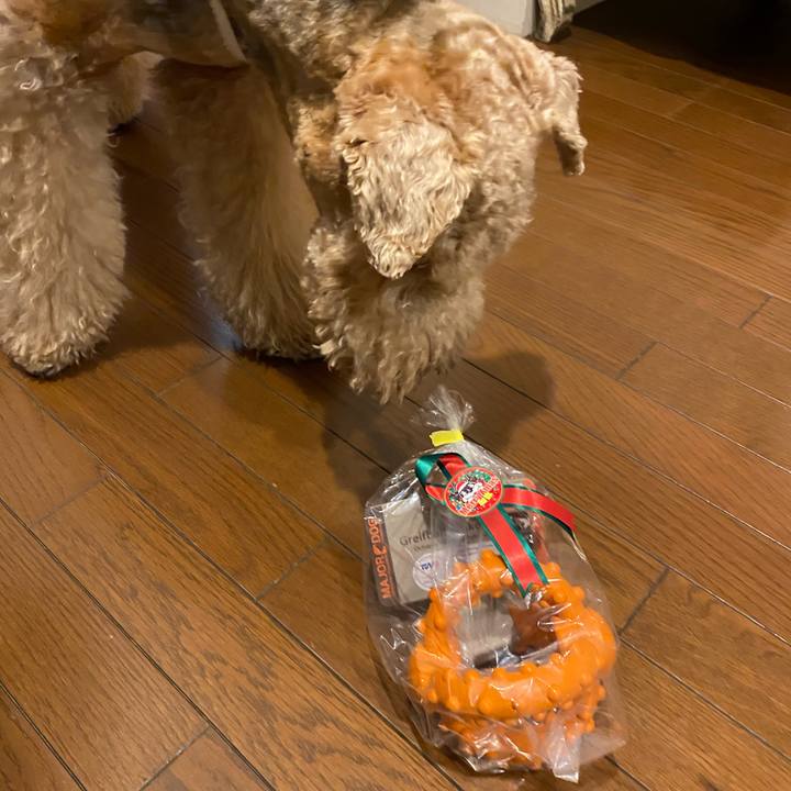 Bbe3c42d 5f4d 4ef9 b81c 5606a6b50f6c 1608865823952