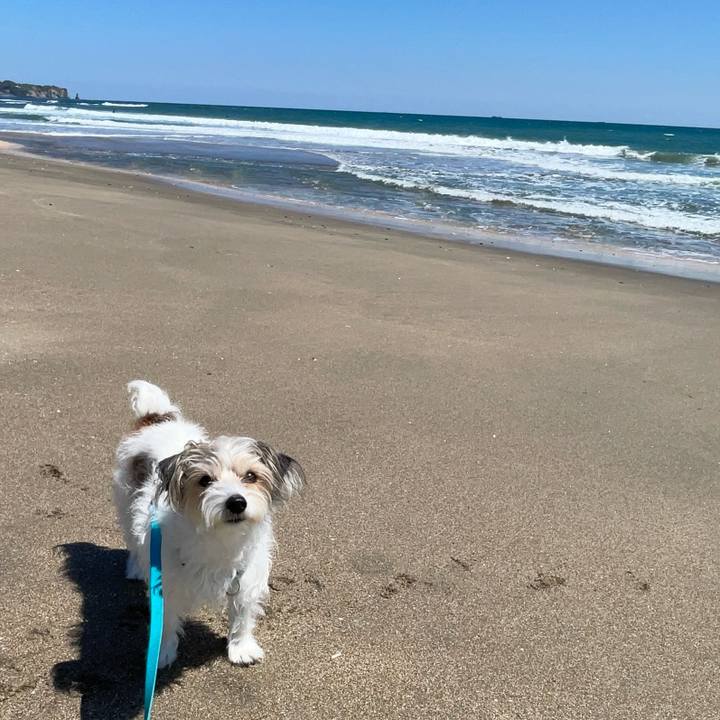 Bbe3d655 cf24 4f76 a500 06b79ace40f4 1775645377354