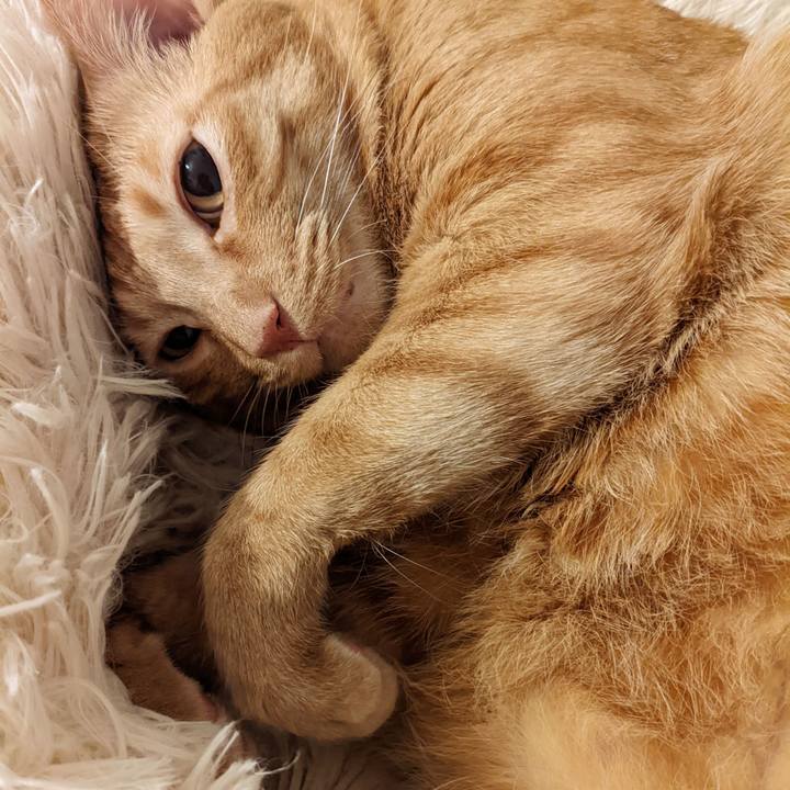 Bbe3eb3e 65bf 43cf 99b9 a37d587797d2 1663504281864