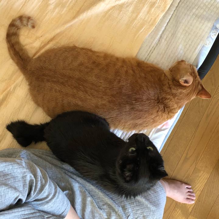 Bbe3fe2b de21 4e6c b27b 43ba710676a6 1592002182524