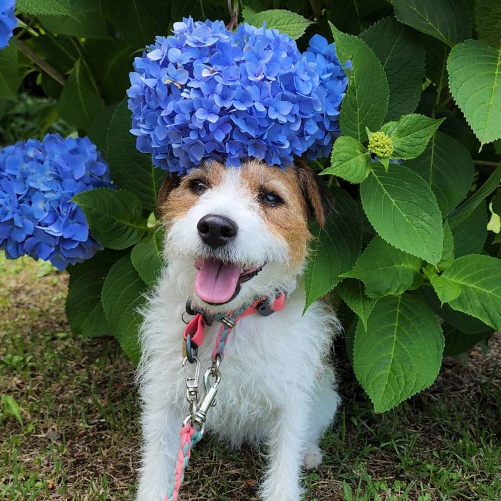 Bbe408a9 f6cd 40f2 a3f1 7bb84b14650a 1654860456236