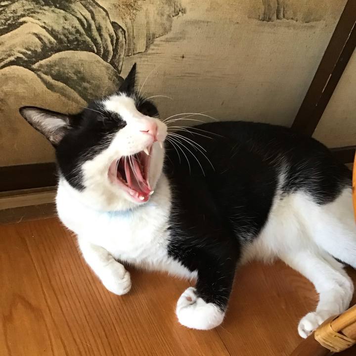 Bbe476c1 d8af 44de 9198 7b565921afe3 1754469273566