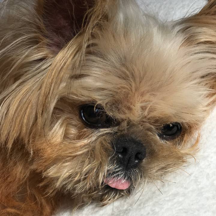 Bbe4928b eb99 45fb ad62 1ee2a4d08b3a 1585799621197