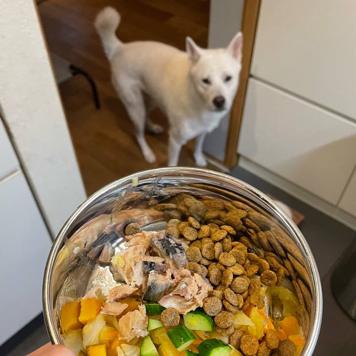 Bbe4b5e0 31a6 4914 9da4 5fd9c332154b 1664878752441