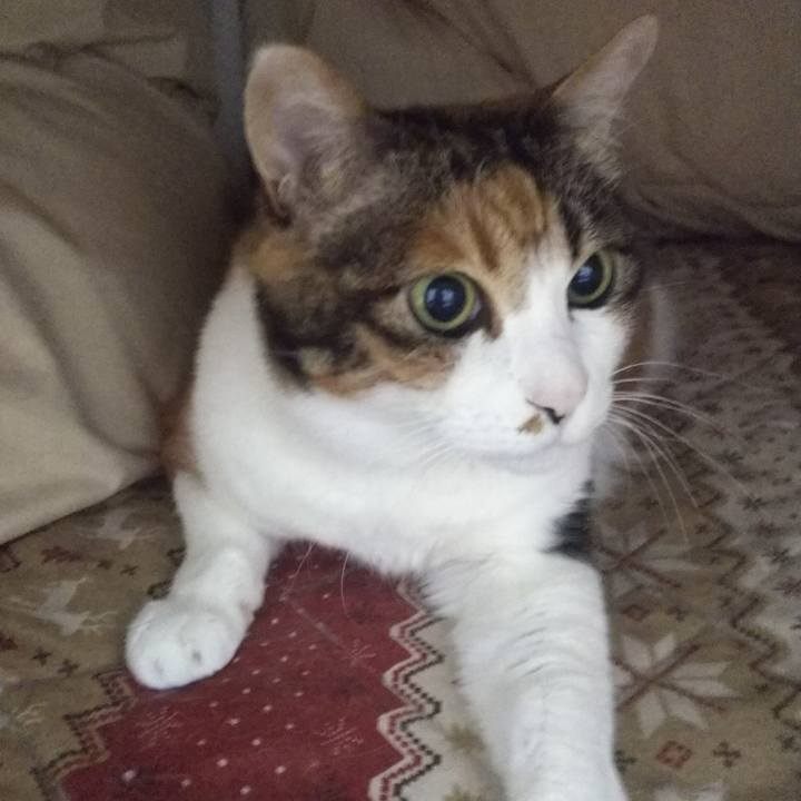 Bbe4d9cd 1991 462d b7f6 45508cdb9a72 1547252415088