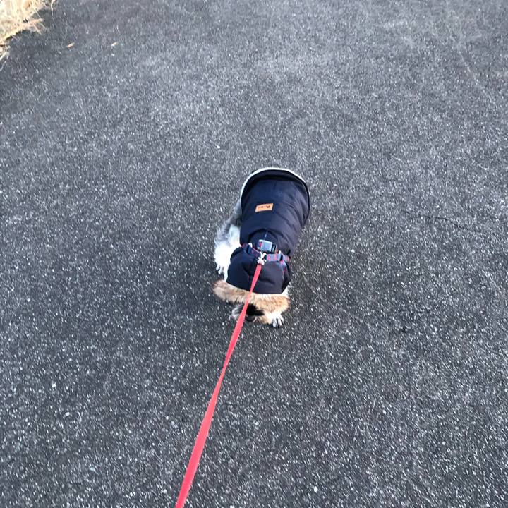 Bbe4e128 f2f0 4c5c b4e5 6629b4751b1e 1614432048504