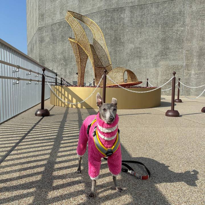 Bbe4f526 b2c7 4fe1 ab77 fdca2505ff21 1771142680737