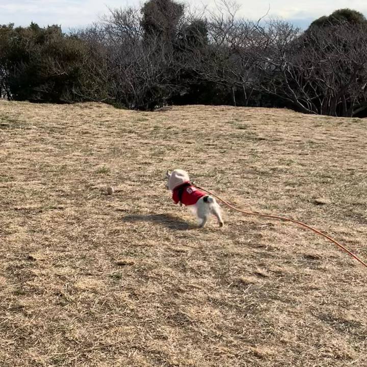 Bbe50e2c 6cf8 46ed 8650 24c9f6c15cdc 1707443528699