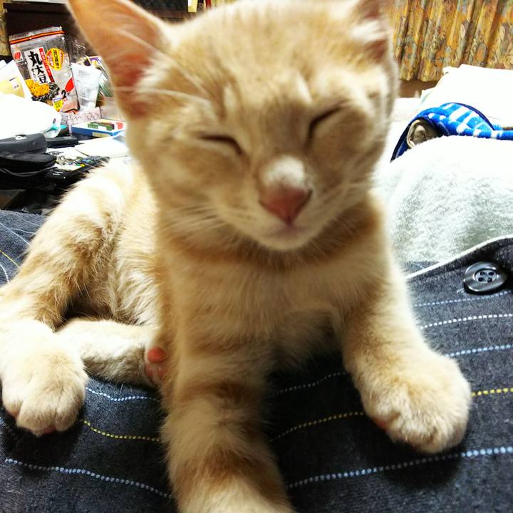 Bbe56552 e6d5 45a4 bbb0 64cb665f9840 1540728060509