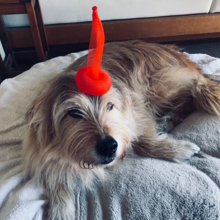 Bbe59d78 0dd2 48bb 8b75 e2f61ba17423 1586438313219