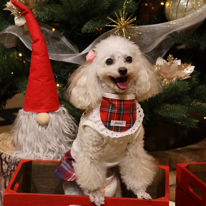 Bbe59e77 e6d0 4906 b941 7f0cc77830df 1766197966818