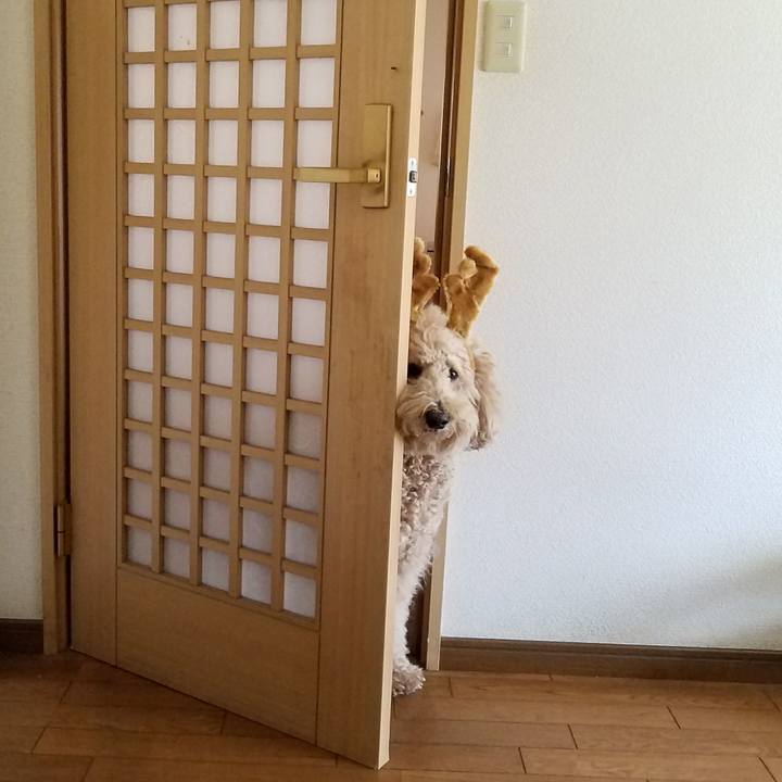 Bbe5ad16 7431 4f78 ba0b ce6760d3148c 1511495191417