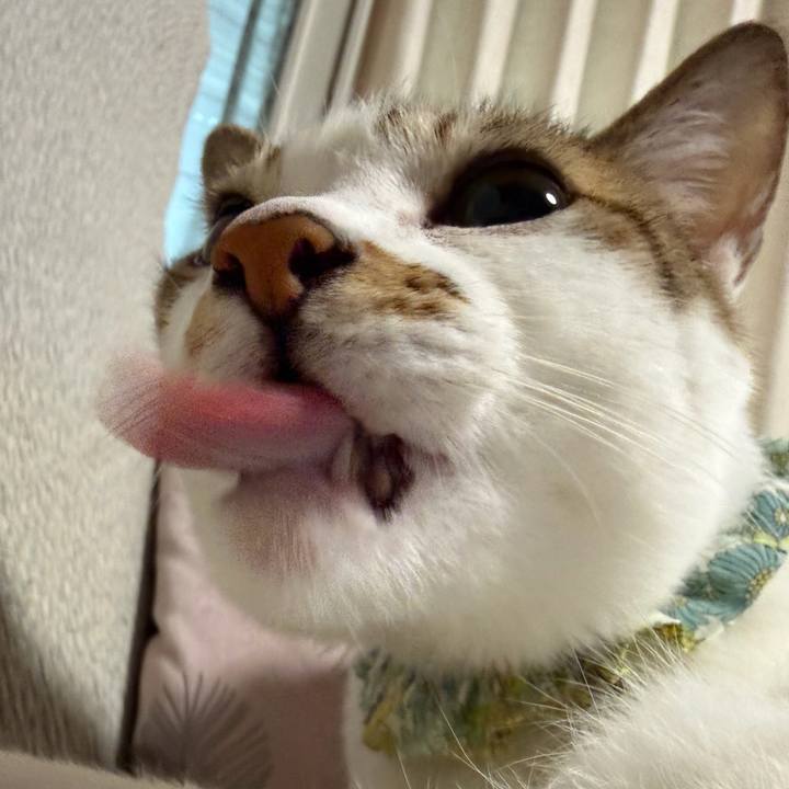 Bbe614c0 a1ec 4387 a668 c558831b9eb5 1773874438202