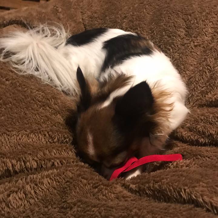 Bbe620de 1cbc 4de1 ac5a 3193d06c58ee 1547642953329