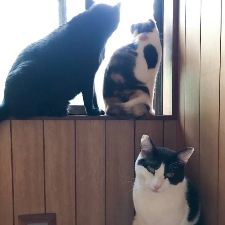 Bbe64711 c012 4332 ac80 dd4aa4900954 1529202884672